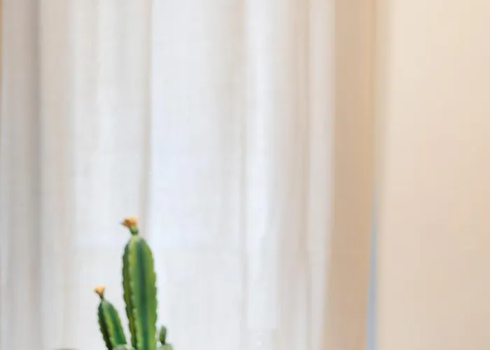 Urban Bliss - Bright, Calm & Spacious Апартаменты *
